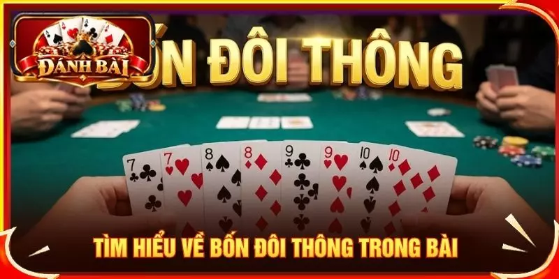 Tìm hiểu về bốn đôi thông trong bài