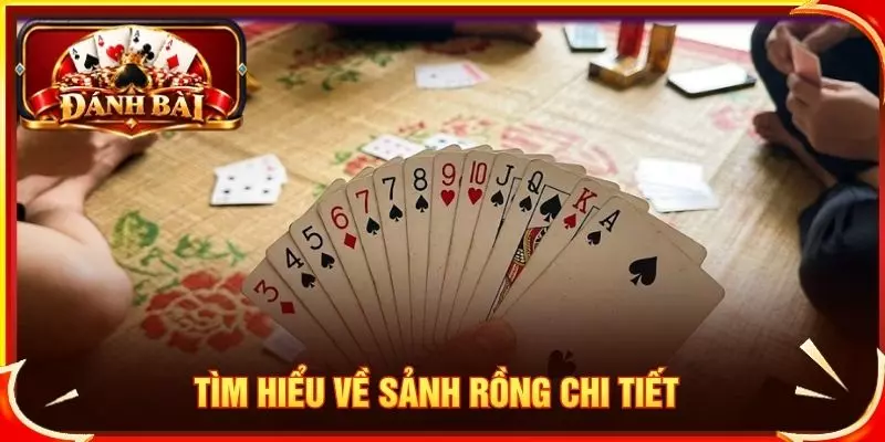Sảnh Rồng Là Gì? Khái Niệm Và Cách Nhận Biết Chi Tiết Tìm hiểu về sảnh rồng chi tiết