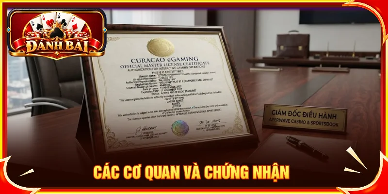 Tổng hợp những loại giấy phép và chứng nhận cần tìm hiểu